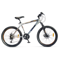 BICI. CALOI RIDER SPORT 24Plg PLATA