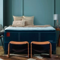 SOMIER DEDICACE DUAL ATHENEE 193X203X40